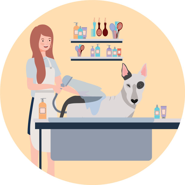 年轻女子与狗在宠物美容图片下载
