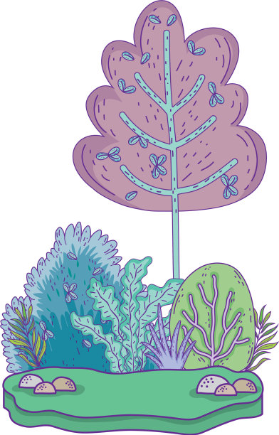 美丽的森林景观图片下载