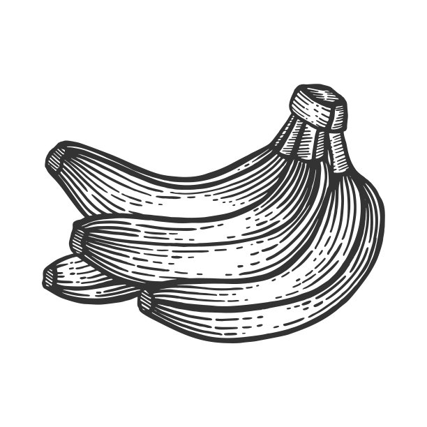 香蕉水果素描版画图片下载