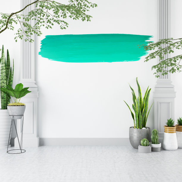 白色墙壁上的绿色油漆和植物图片下载