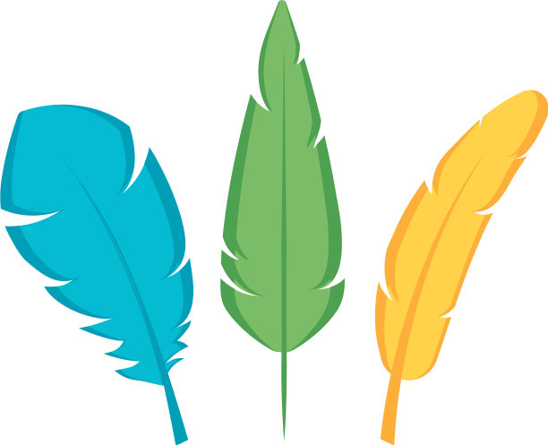 羽毛异国的孤立的图标图片下载