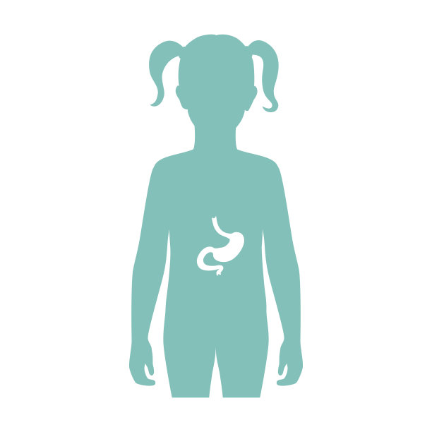 孤立的胃图片下载