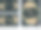 婚礼用的时尚玫瑰卡片挽救了日期图片下载