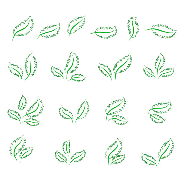 设置孤立的绿色叶子图标在白色图片下载