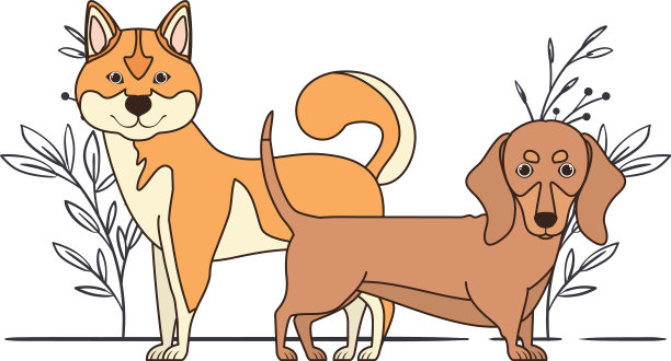 可爱和可爱的狗与树叶的背景图片下载