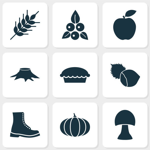 季节图标设置与浆果，小麦boot和图片下载