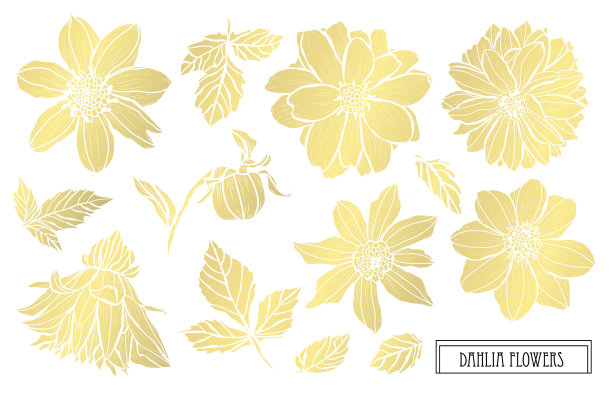 金色的花装饰图片下载