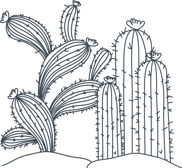 仙人掌在景观孤立图标图片下载