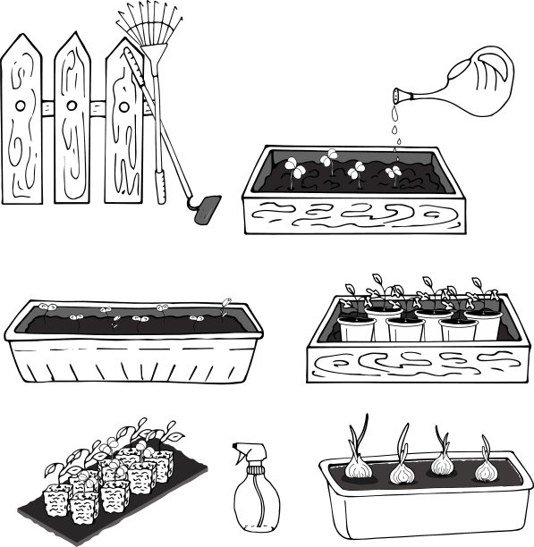 黑白植物苗木画中图片下载