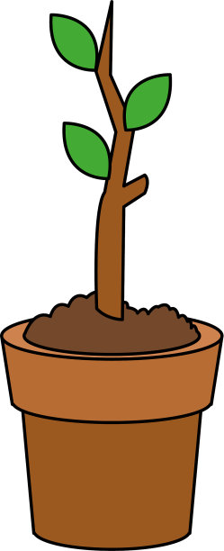 植物发芽在花盆图标形象图片下载