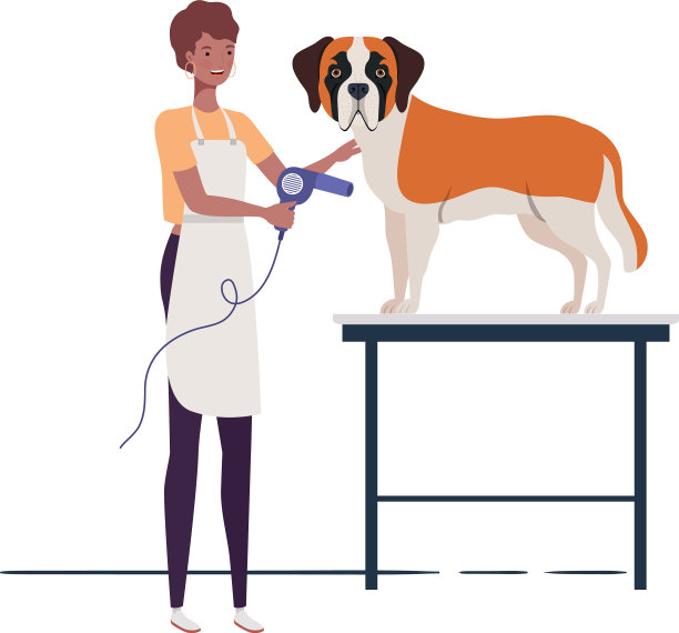 年轻女子与狗在宠物美容图片下载