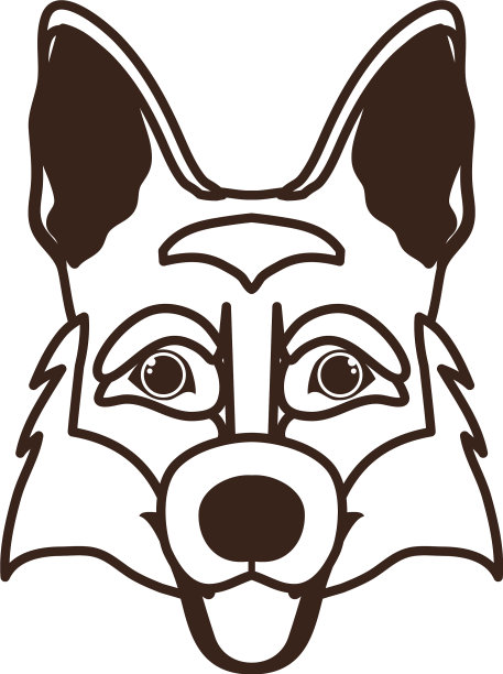 头可爱的牧师阿莱曼狗在白色的背景图片下载