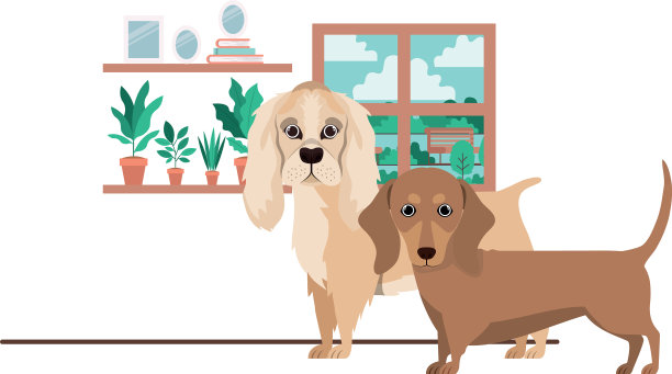 可爱可爱的狗在客厅里图片下载