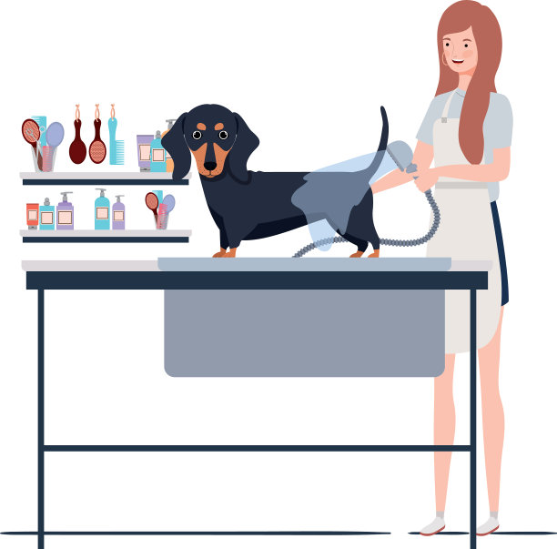 年轻女子与狗在宠物美容图片下载