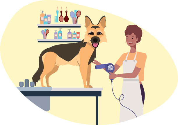 年轻女子与狗在宠物美容图片下载