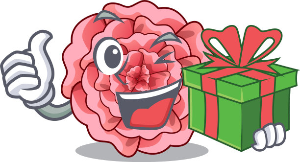 与赠康乃馨花隔绝同图片下载