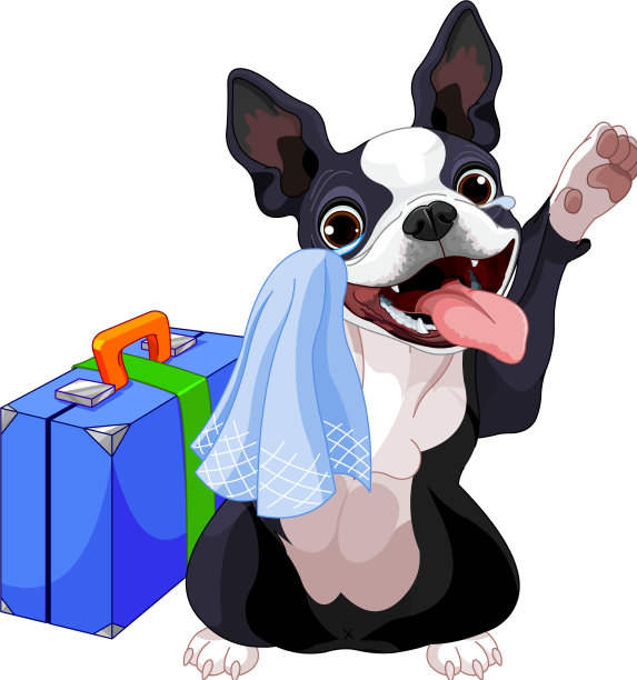 一只带行李箱的波士顿梗犬图片下载