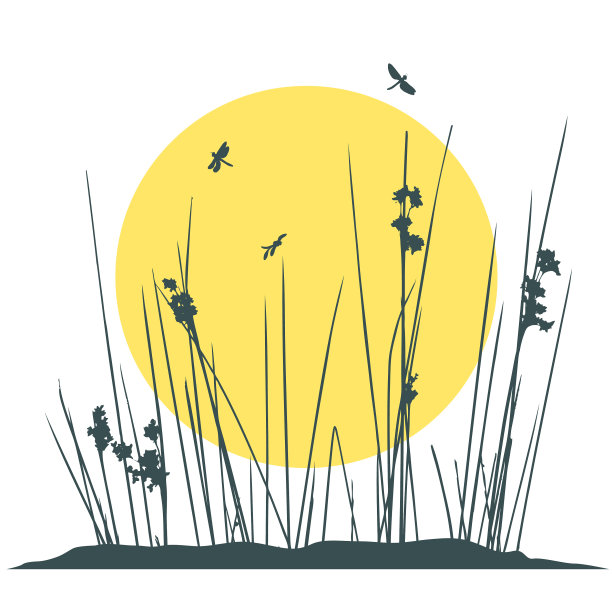 夕阳下的植物剪影和飞虫图片下载