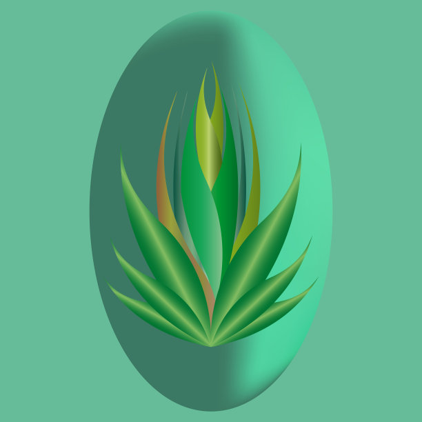 有尖叶的绿色植物图片下载