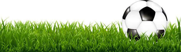 带草边的足球图片下载