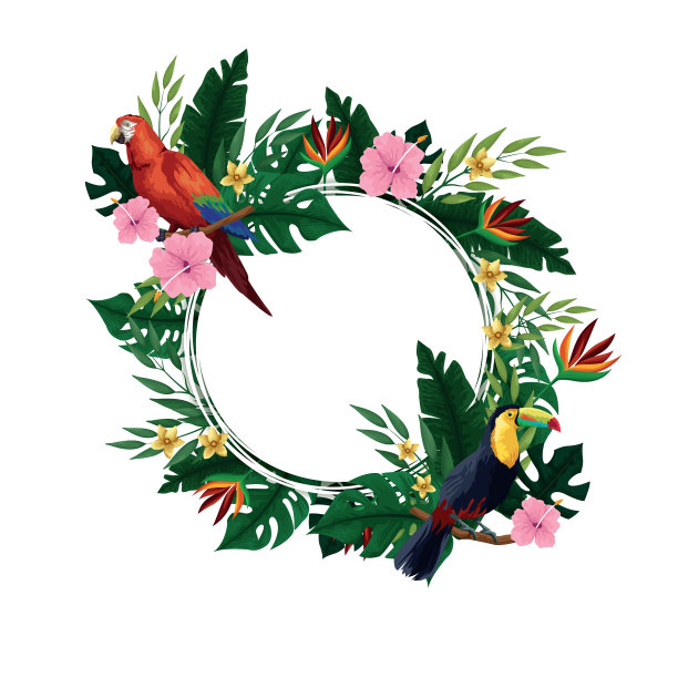 夏季热带空白卡框图片下载