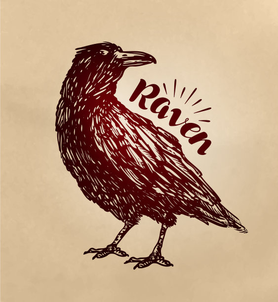 古董画乌鸦乌鸦鸟素描图片下载