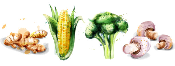 水彩蔬菜合集素材图片