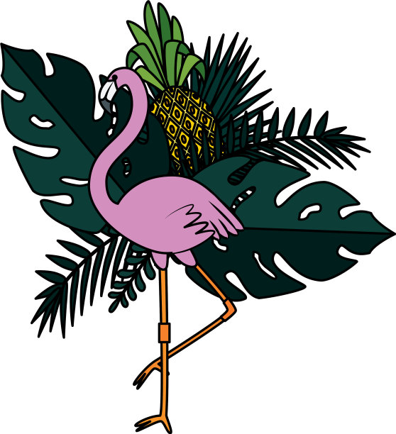 夏季框架与佛兰芒和外来叶植物图片下载