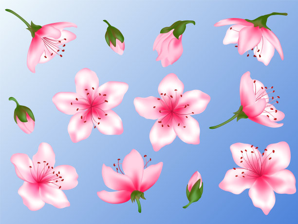 春花花开树集图片下载