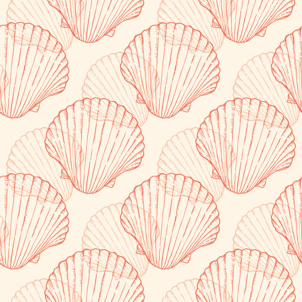 无缝图案与海贝图片下载