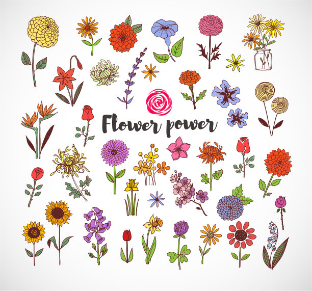 彩色涂鸦素描花在白色的背景图片下载