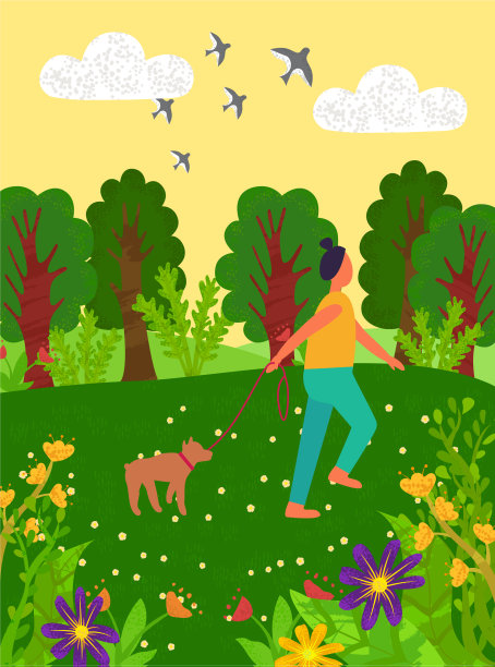 一个女人在阳光明媚的日子里遛狗图片下载