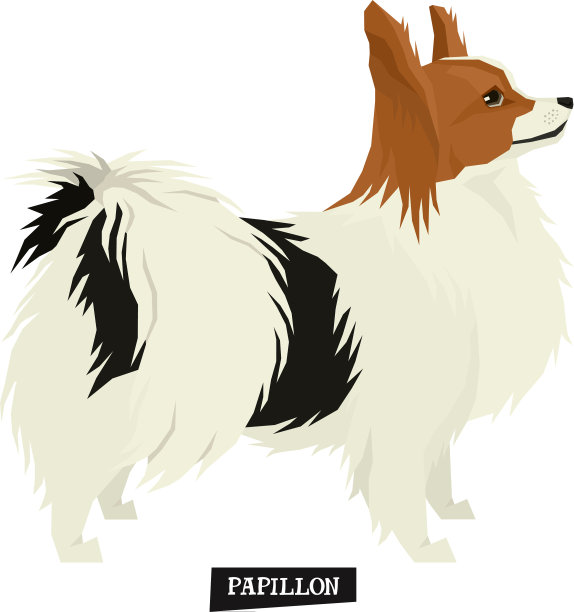 犬收集蝶耳几何孤立对象图片下载