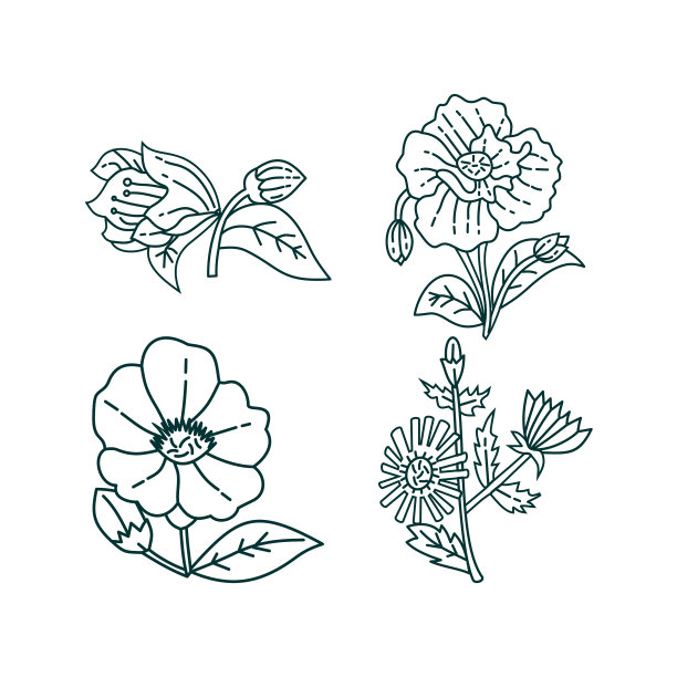 花叶设计模板图片下载