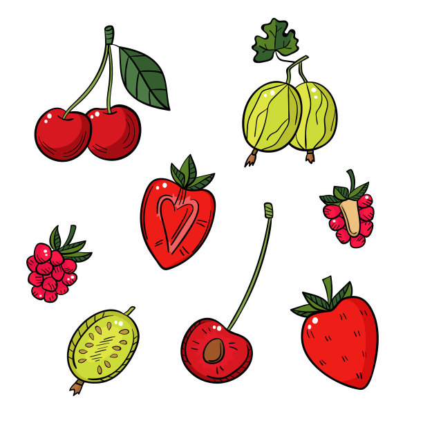 白色背景上的一组不同的浆果图片下载