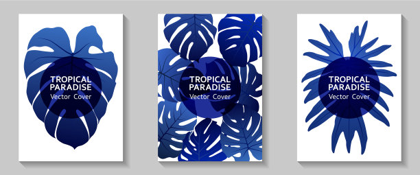 热带天堂叶覆盖布局图片下载