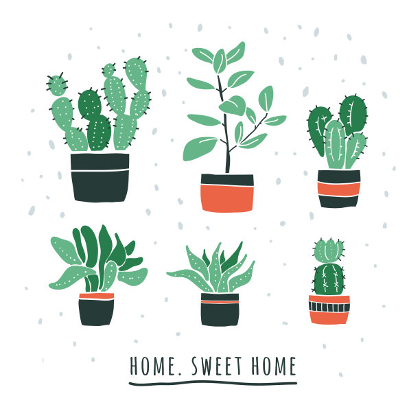 在花瓶里放些可爱的花图片下载