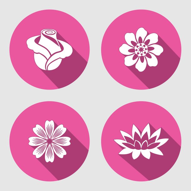 花图标设置玫瑰甘菊蓝色罂粟图片下载