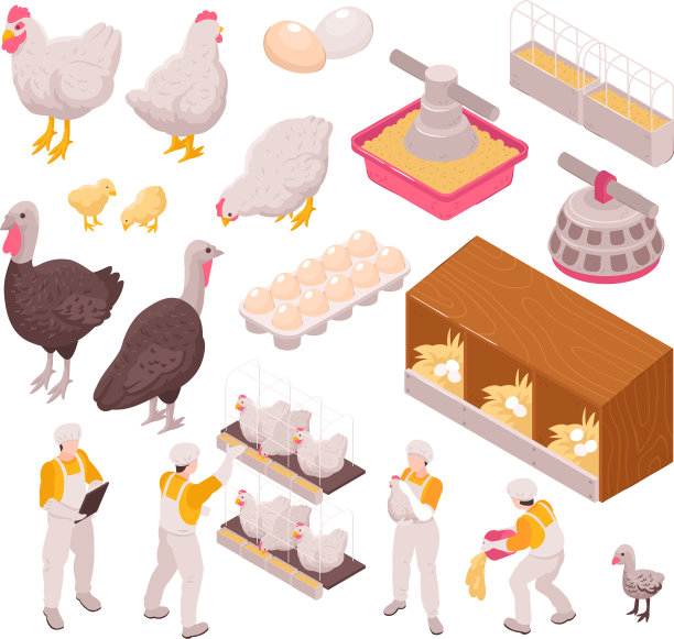 鸡肉生产图标集图片下载