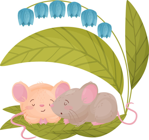 两只老鼠睡在一朵蓝色的花下图片下载