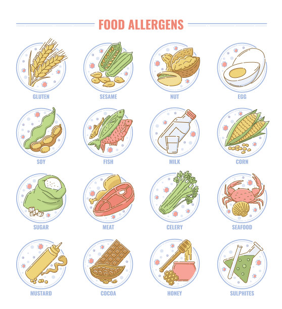 食物过敏原套装合集：麸质、坚果、鱼类图片下载