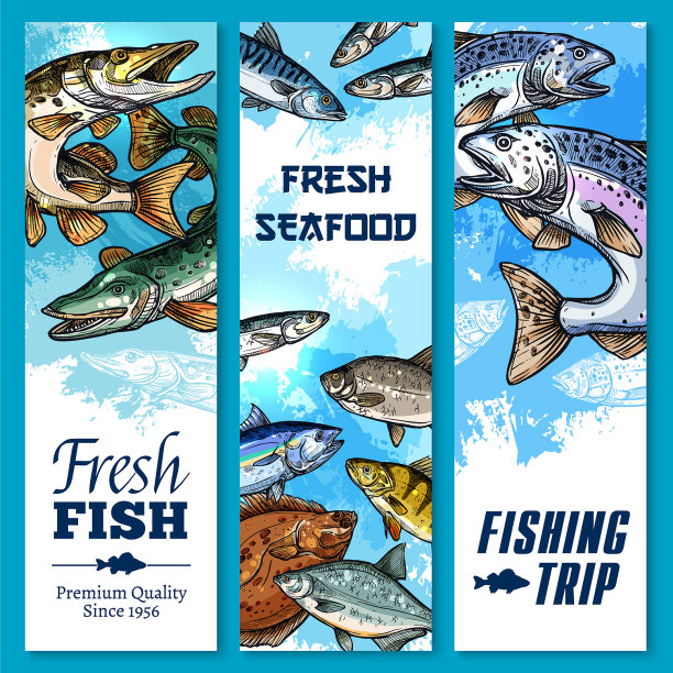 横幅钓鱼旅行和鱼捕获图片下载