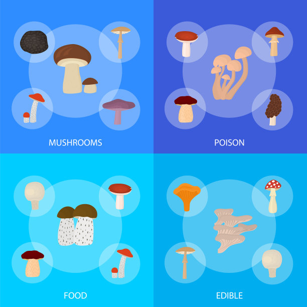 卡通色彩有毒可食用蘑菇图片下载