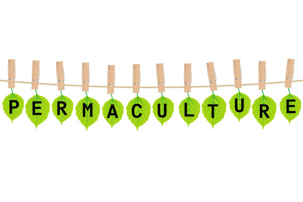 永续栽培的概念图片下载