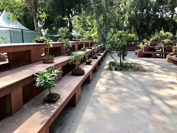 在花园中铺设庭院的图像，以盆景树为底座展示日本元素图片下载