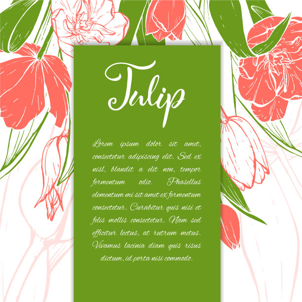 素描线性郁金香花图片下载