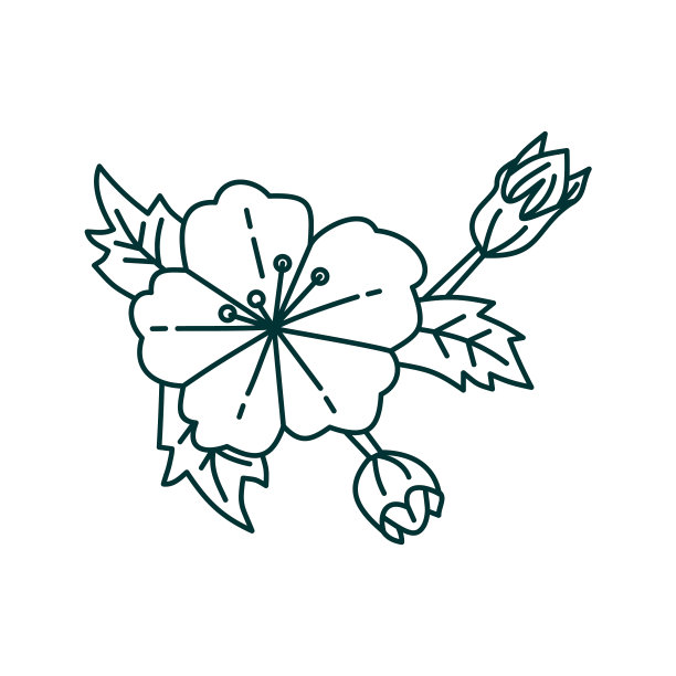 花叶设计模板图片下载