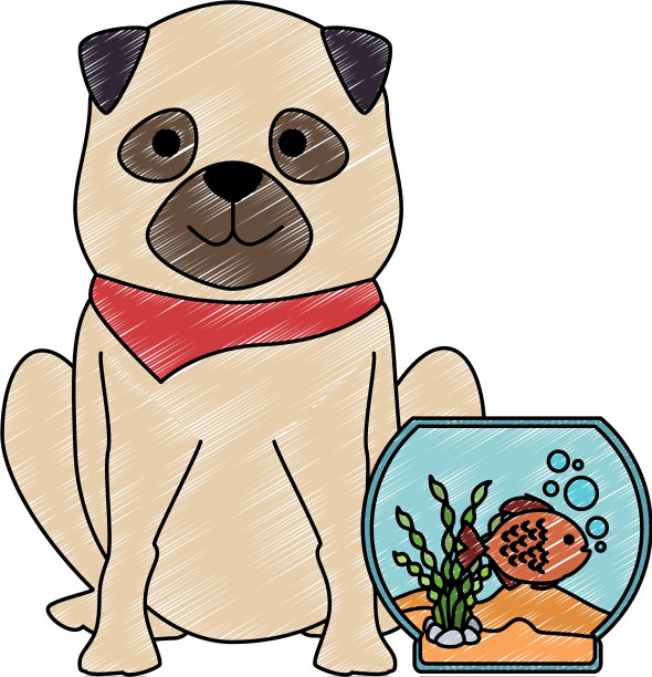 水族碗与颜色鱼和狗图片下载