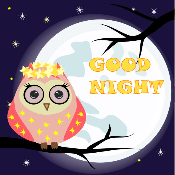 带着熟睡的月亮和可爱的猫头鹰的晚安卡片图片下载