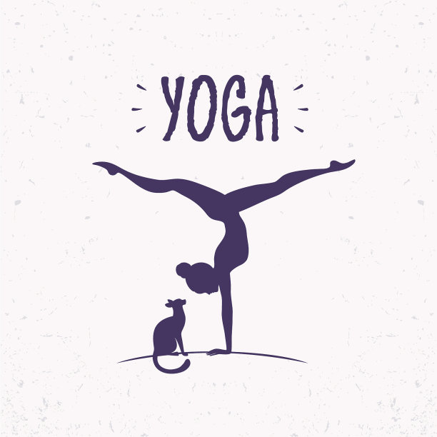 瑜伽与猫图片下载